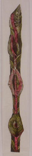 Ode an eine Blume-50x220cm